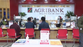 Agribank cơ cấu lại nợ cho 15 ngàn khách hàng bị ảnh hưởng dịch Covid-19