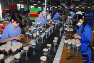 Hỗ trợ doanh nghiệp trong thực hiện phát triển bền vững
