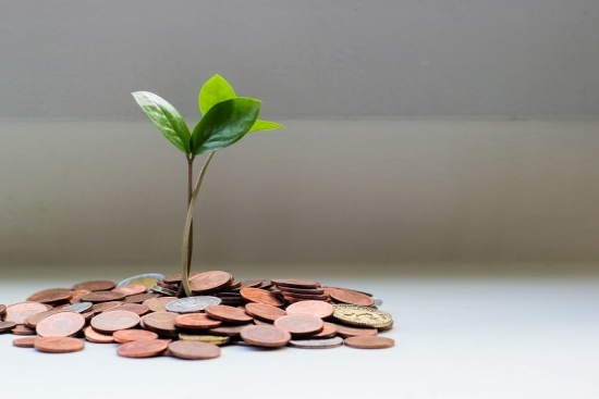Tài chính xanh mở ra cơ hội lớn cho các ngân hàng Việt