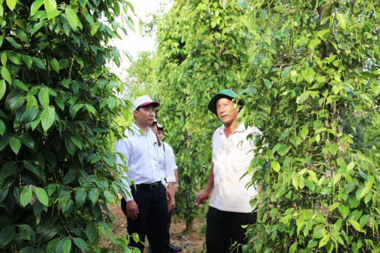 Agribank tích cực gỡ khó cho khách hàng vượt qua đại dịch