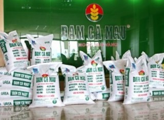 Bổ sung dự án phân bón phức hợp Cà Mau vào quy hoạch
