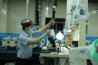 TP.HCM: DN thành lập mới tăng mạnh cả về lượng và vốn đăng ký