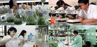 3 hình thức chuyển đơn vị sự nghiệp công lập thành công ty cổ phần