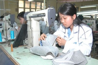 Hà Nội: Cổ phần hóa Công ty TNHH MTV Giầy Thụy Khuê