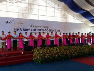 Khánh thành Nhà máy chế biến gỗ 300 triệu USD tại Nghệ An