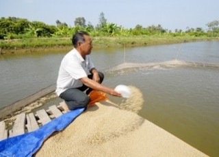 Kiểm tra các DN FDI sản xuất thức ăn thủy sản
