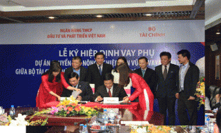 BIDV vay lại 105 triệu USD thuộc Dự án nông nghiệp vay vốn WB