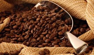 Giải thể 5 công ty con của Tổng Công ty Cà phê Việt Nam