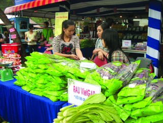 Chủ động vốn chuyển đổi công nghệ