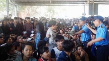 Vỡ đơn hàng vì Tết