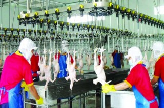 Trầm lắng kinh doanh đầu năm mới