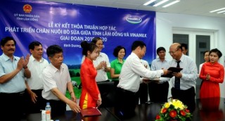 Vinamilk hợp tác với tỉnh Lâm Đồng phát triển chăn nuôi bò sữa
