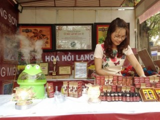 Hội chợ thương hiệu Việt tại Hà Nội