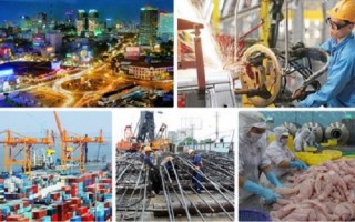 Tọa đàm 'Cổ phần hóa: Đúng pháp luật nhưng phải nhanh'