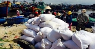 Bảo Việt tạm ứng bồi thường 10 tỷ đồng cho tàu Hải Trường 36