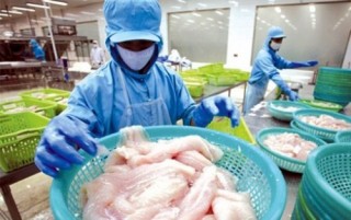Thiếu giải pháp trong phòng vệ thương mại