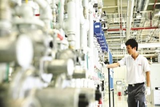 DNNVV của Việt Nam đi đâu, đứng đâu