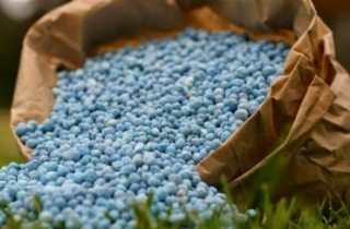 Chính sách thuế đối với ngành phân bón: Nhiều chuyển động