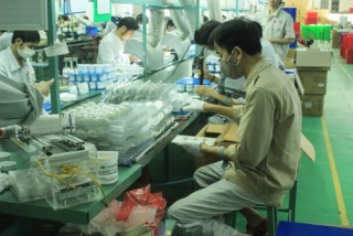 Công ty bóng đèn phích nước Rạng Đông đạt doanh thu 2.939 tỷ đồng