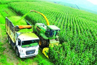 Bước chuyển mình mạnh mẽ của Agribank