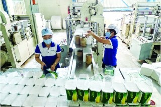 Lo doanh nghiệp “li ti hoá” quy mô