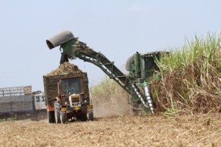 Ngành đường và điểm dựa lưng từ quy mô
