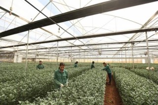PAN: Xác lập dấu mốc mới về doanh thu và tổng tài sản