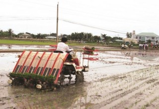 Thách thức khi vốn ngoại vào lúa gạo