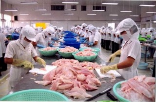 Đẩy mạnh cấp chứng thư điện tử đối với hàng thủy sản xuất khẩu vào EU