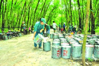 Tăng chất cho đầu tư ra nước ngoài