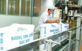 Phân hóa lợi nhuận các doanh nghiệp ngành đường