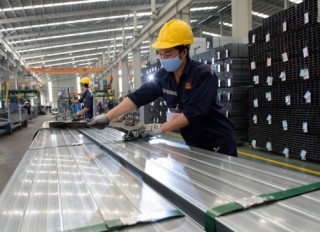 Hoa Sen: Vẫn bố trí sản xuất và bán hàng trong Tết Kỷ Hợi