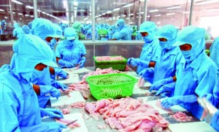 Doanh nghiệp thủy sản hy vọng vào năm 2019