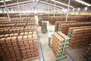 Ngành tiềm năng có nhiều “ông lớn”