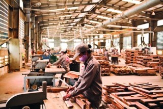 Để doanh nghiệp ngành gỗ vững vàng hội nhập