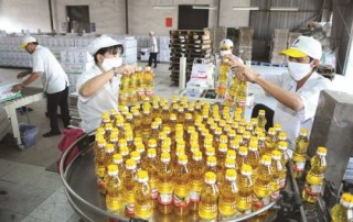 Doanh nghiệp làm gì để đón sóng?