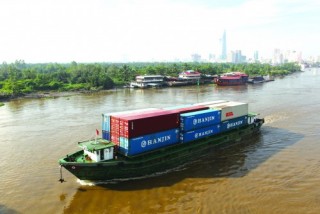 Dừng vay đô, DN xuất khẩu được sàng lọc​
