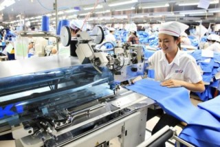 Nhiều doanh nghiệp dự báo nhu cầu công việc dựa vào cảm tính