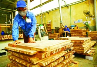 Trông chờ sự hợp tác từ nhiều phía