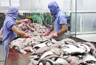 Để thủy sản Việt không bị nước ngoài trả về