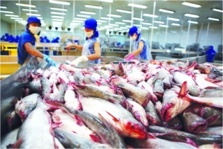 Xuất khẩu đối phó với rào cản thương mại