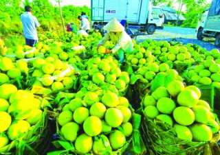 Nâng cao chất lượng để tạo cơ hội