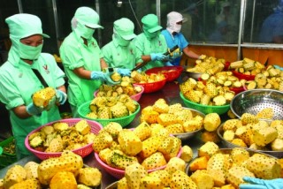 Cuba - thị trường tiềm năng