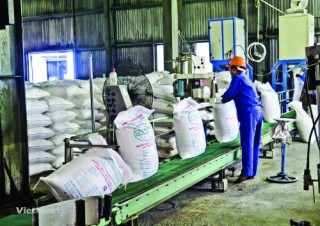 Đừng khoác chiếc áo doanh nghiệp lên hết hộ kinh doanh
