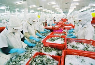 NHNN nghiên cứu, xử lý kiến nghị về gói tín dụng ưu đãi cho DNXK nông lâm thủy sản