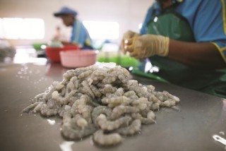 FTA Việt Nam – Hàn Quốc: Tăng tính chủ động trong hội nhập