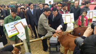 Trách nhiệm xã hội của doanh nghiệp: Làm sao hướng tới sự bền vững?