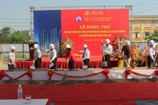 Cổ đông Hacinco mòn mỏi vì 