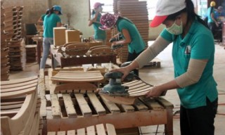 EU và Việt Nam hoàn tất đàm phán về hiệp định quản lý gỗ