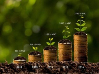 PAN Group tiếp tục nằm trong TOP 50 công ty niêm yết tốt nhất của Forbes